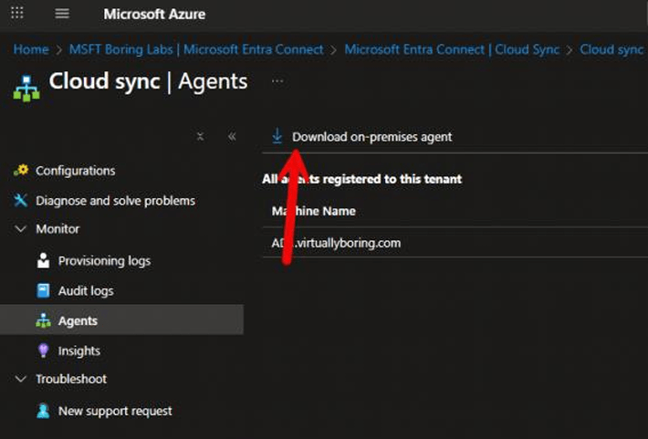 Entra ID Cloud Sync Agents blade with the Download on-premises agent button