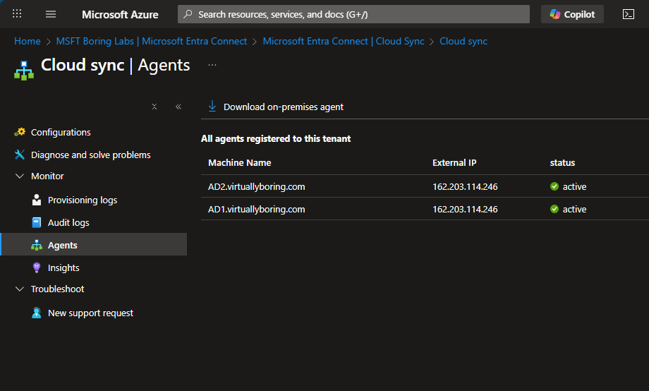 Cloud Sync Agents page showing two registered agents